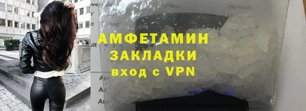 стаф Алзамай