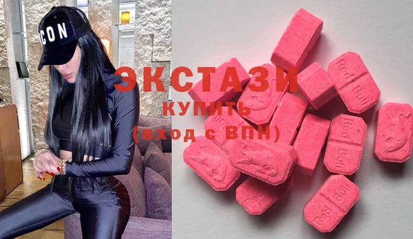 стаф Алзамай